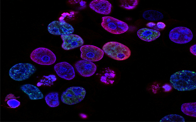 Re-Certification of Oncology Pharmacies
